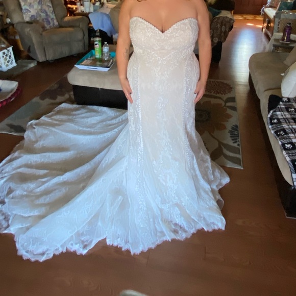 Wedding Dress - Picture 13 of 14